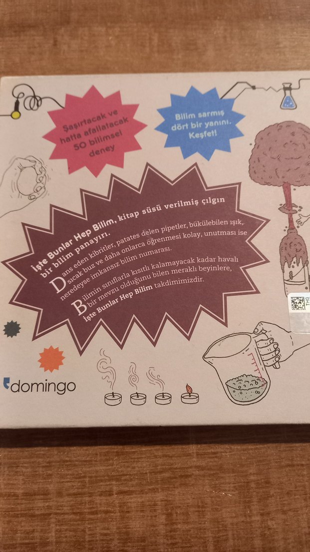 İşte Bunlar Hep Bilim - Domingo Sanat Kitabı - Görsel 2