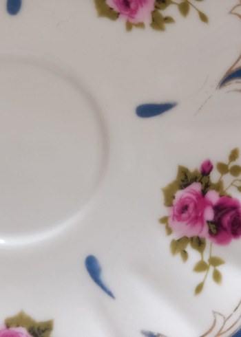 Çiçek Desenli Beyaz Porselen Fincan ve Tabağı - Görsel 5