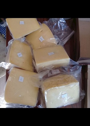 Kars kaşar peynir - Görsel 4