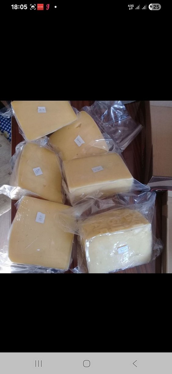 Kars kaşar peynir - Görsel 4