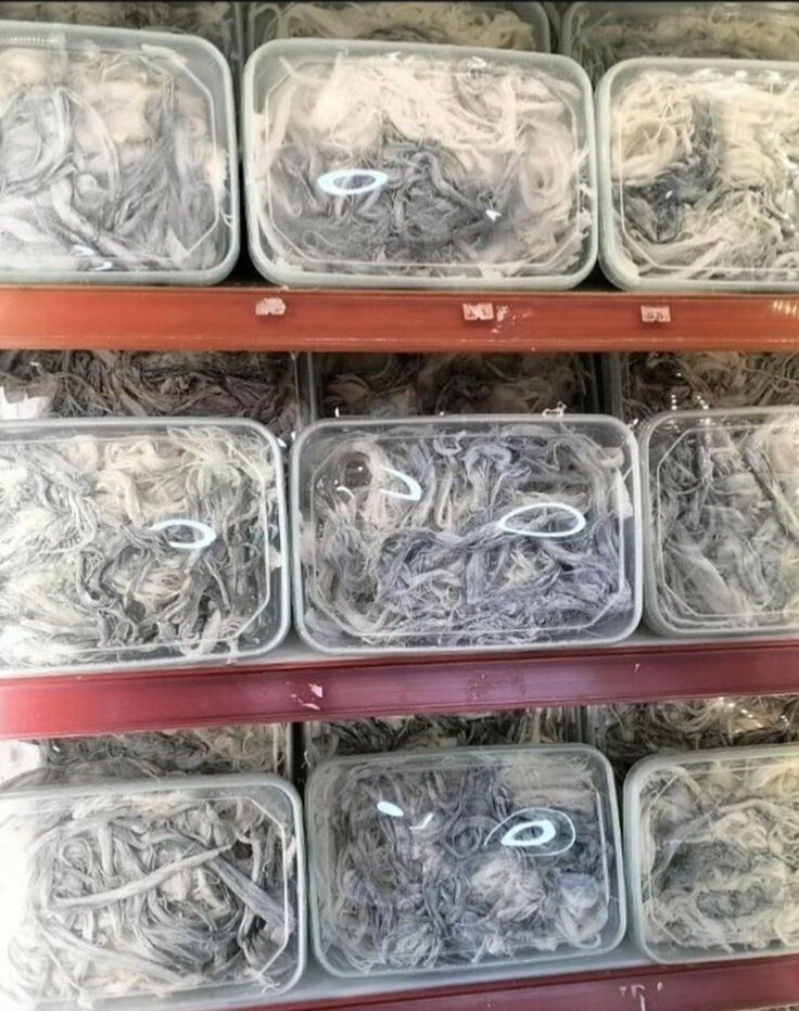 çeçil peynir - Görsel 2