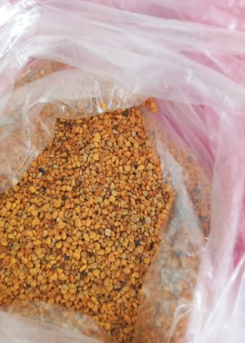 doğal polen - Görsel 4