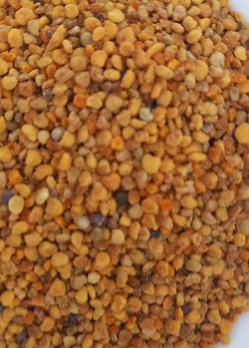 doğal polen - Görsel 3