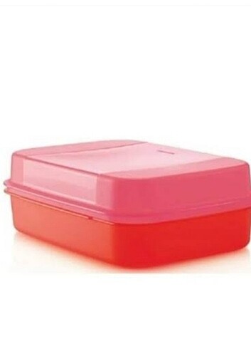 Tupperware Büyük Saklama Kutusu 