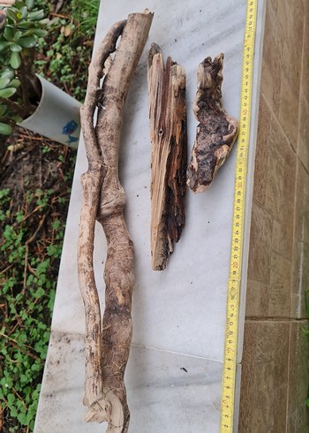 3 lodos dekorasyon/akvaryum - Görsel 2