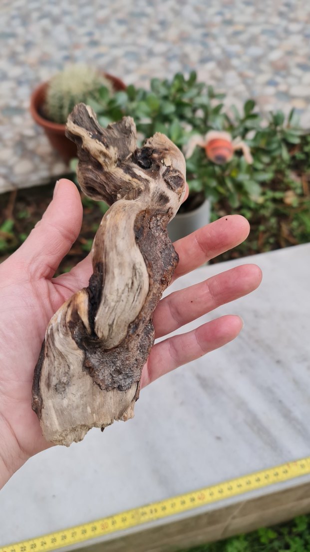 3 lodos dekorasyon/akvaryum - Görsel 5