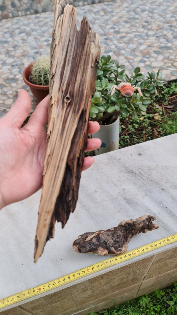 3 lodos dekorasyon/akvaryum - Görsel 4