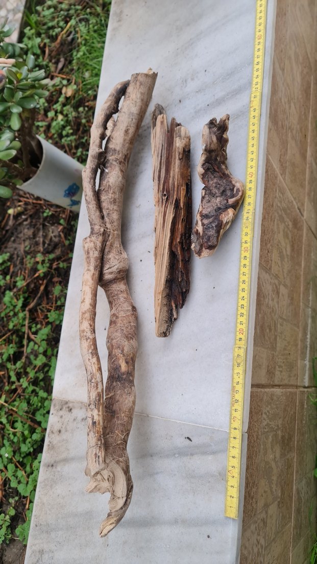 3 lodos dekorasyon/akvaryum - Görsel 2