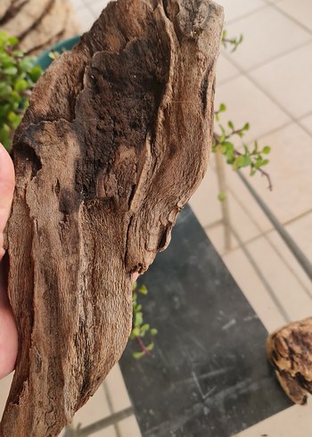 3 lodos dekorasyon akvaryum - Görsel 7