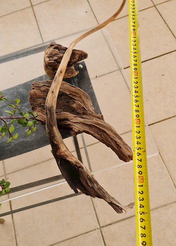 3 lodos dekorasyon akvaryum - Görsel 3