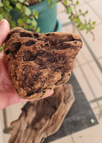 3 lodos dekorasyon akvaryum - Görsel 8