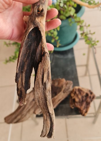 3 lodos dekorasyon akvaryum - Görsel 6