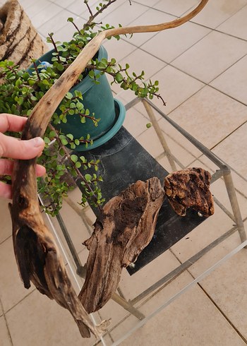 3 lodos dekorasyon akvaryum - Görsel 5