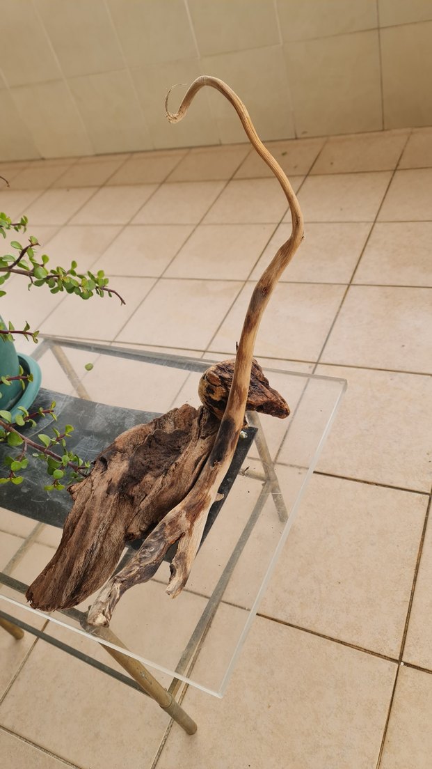 3 lodos dekorasyon akvaryum - Görsel 2