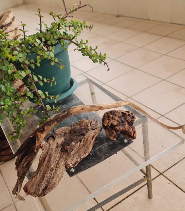 3 lodos dekorasyon akvaryum - Görsel 4