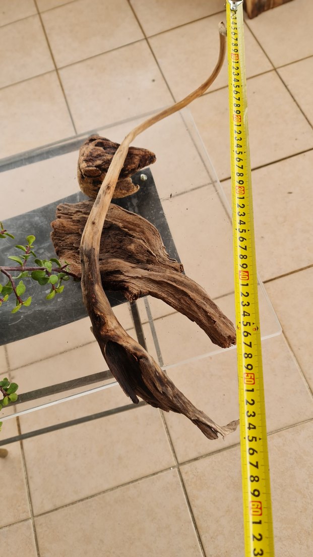 3 lodos dekorasyon akvaryum - Görsel 3