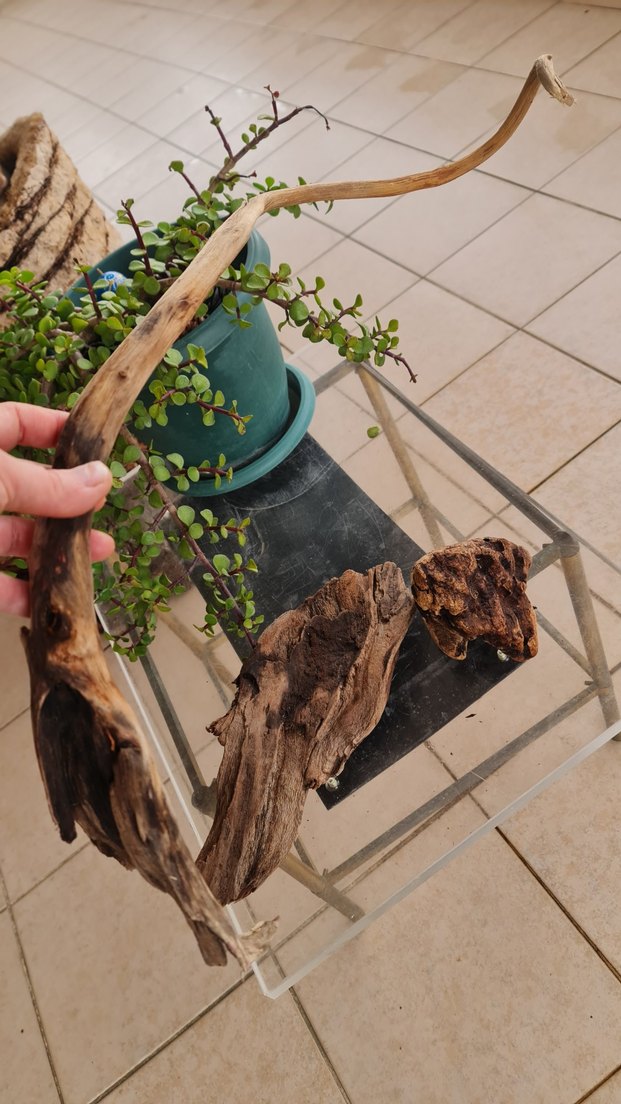 3 lodos dekorasyon akvaryum - Görsel 5