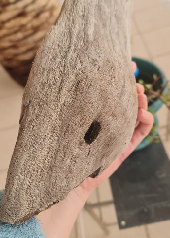 lodos dekorasyon/akvaryum - Görsel 4