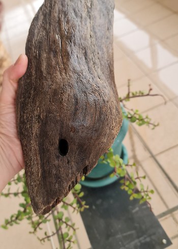 lodos dekorasyon/akvaryum - Görsel 5