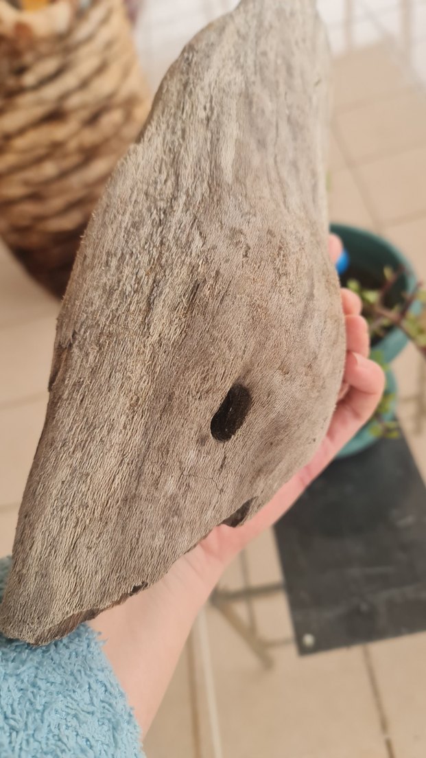 lodos dekorasyon/akvaryum - Görsel 4