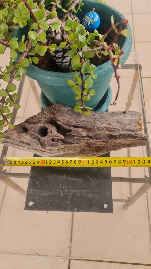 lodos dekorasyon/akvaryum - Görsel 3