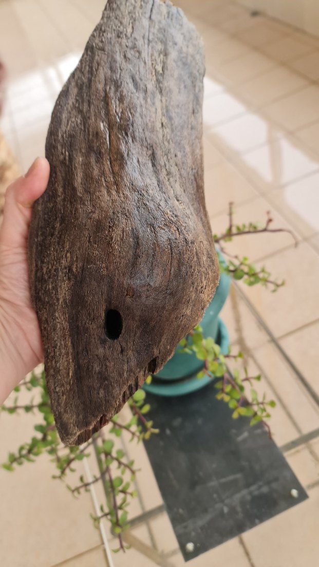 lodos dekorasyon/akvaryum - Görsel 5