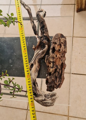 2 lodos dekorasyon/akvaryum - Görsel 3