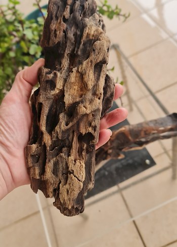 2 lodos dekorasyon/akvaryum - Görsel 5