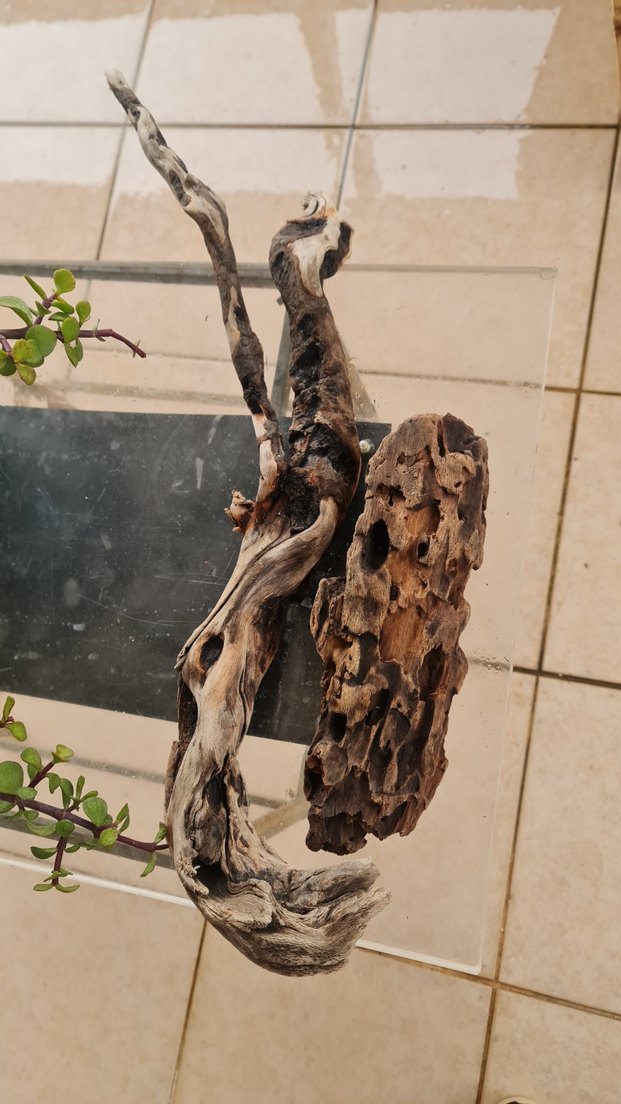 2 lodos dekorasyon/akvaryum - Görsel 2