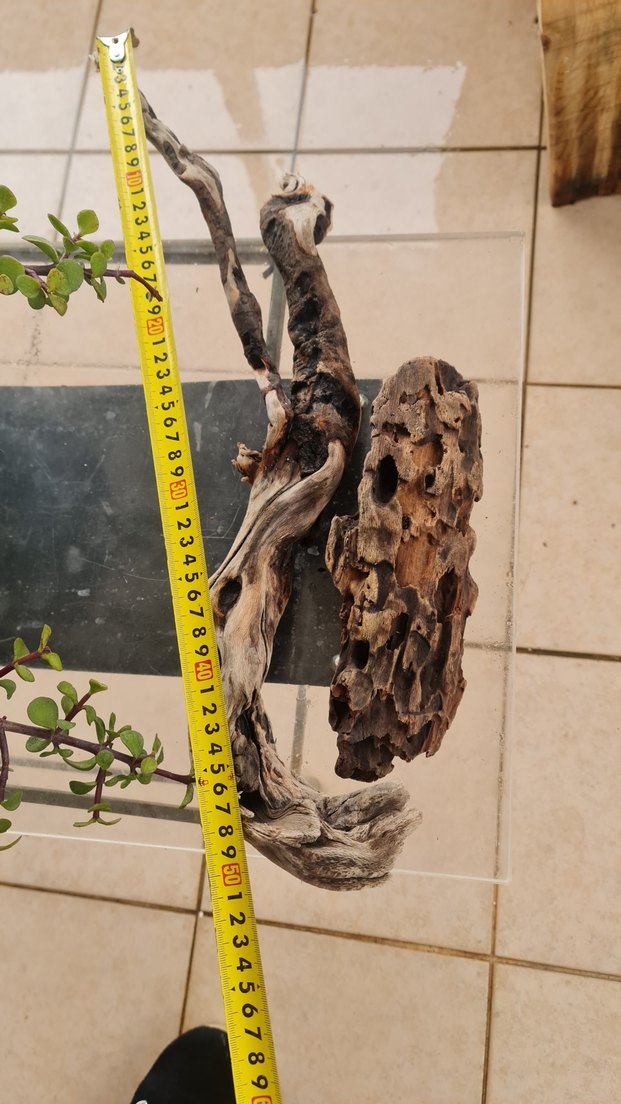 2 lodos dekorasyon/akvaryum - Görsel 3