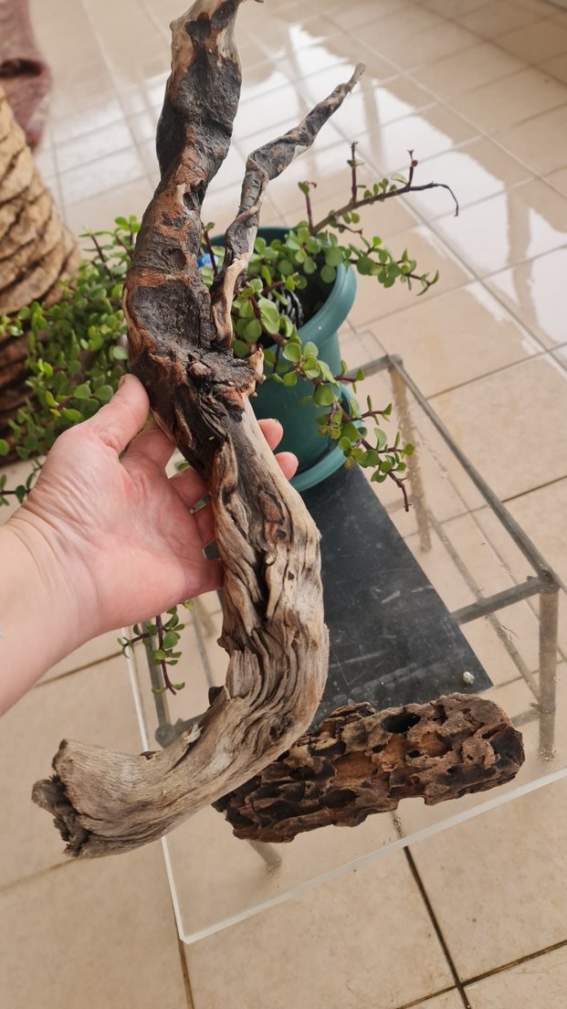 2 lodos dekorasyon/akvaryum - Görsel 4