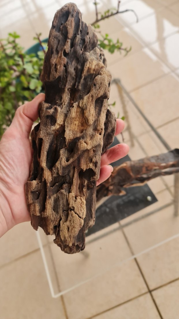 2 lodos dekorasyon/akvaryum - Görsel 5