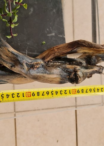 lodos dekorasyon/akvaryum - Görsel 3