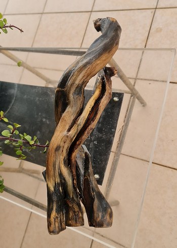 lodos dekorasyon/akvaryum - Görsel 4