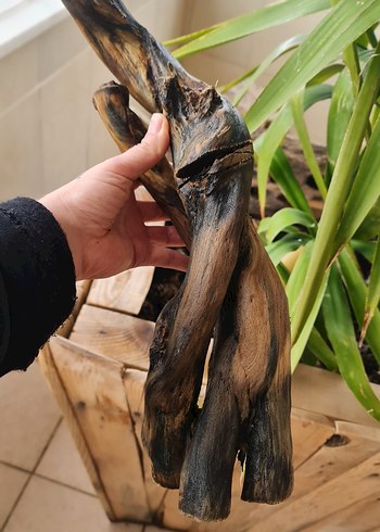 lodos dekorasyon/akvaryum - Görsel 5