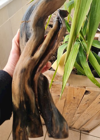 lodos dekorasyon/akvaryum - Görsel 6