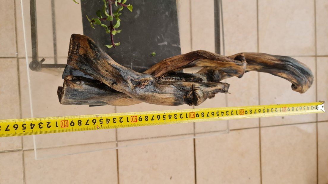 lodos dekorasyon/akvaryum - Görsel 3