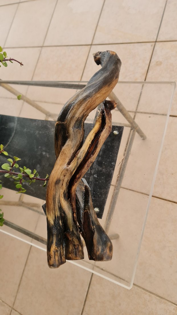 lodos dekorasyon/akvaryum - Görsel 4