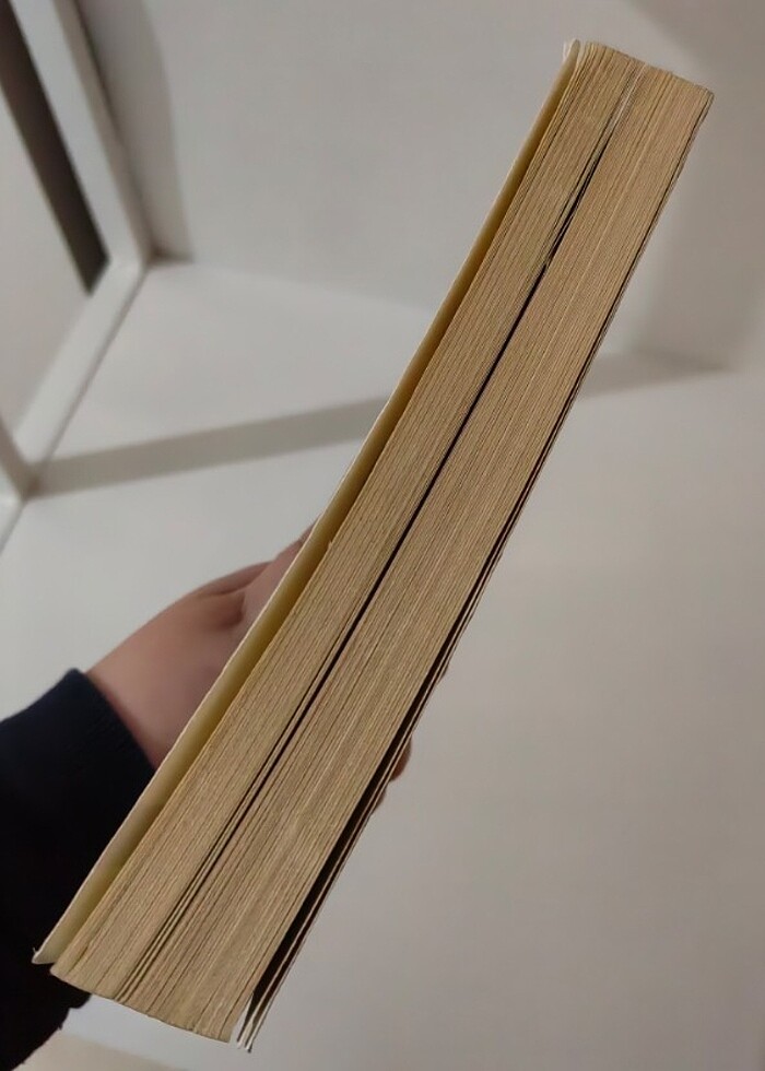 Bürokrasi ve siyaset kitabı  - Görsel 3