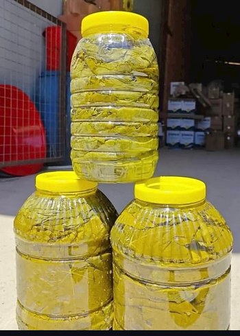 5 kg salamura Manisa Alaşehir yaprağı