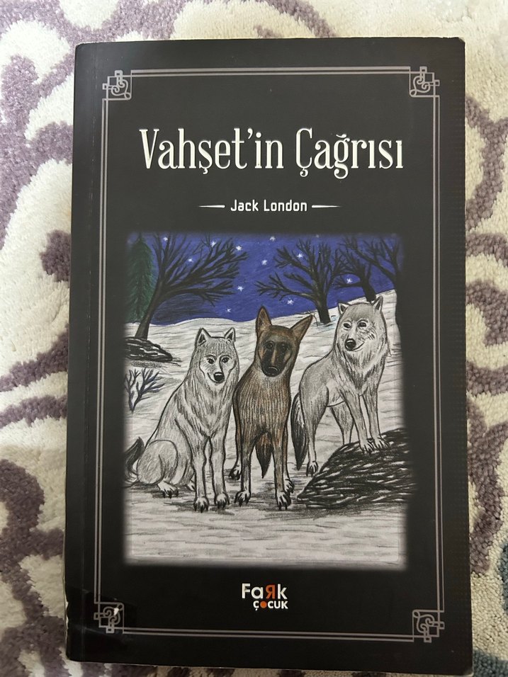 Vadideki Zambak - Honoré de Balzac - Görsel 3