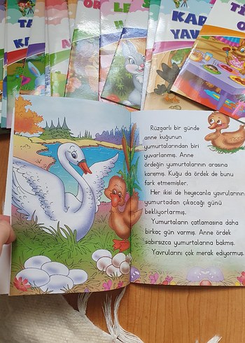 Beden Mini Mini Birler Serisi Çocuk Kitabı