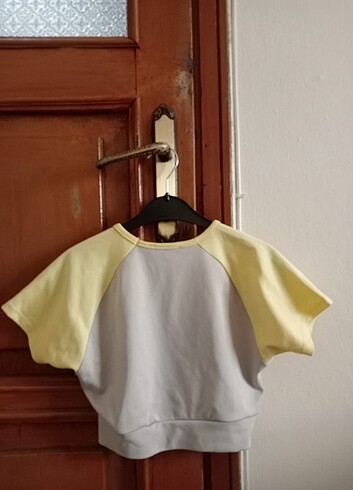 Diğer Kisakollu Crop