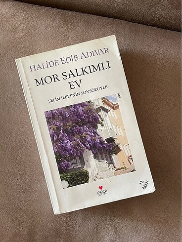 Mor Salkımlı Ev Kitabı