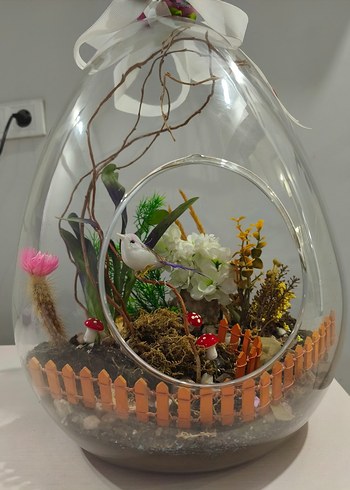 Renkli Mor Dekoratif Cam Fanus & Teraryum - Görsel 2