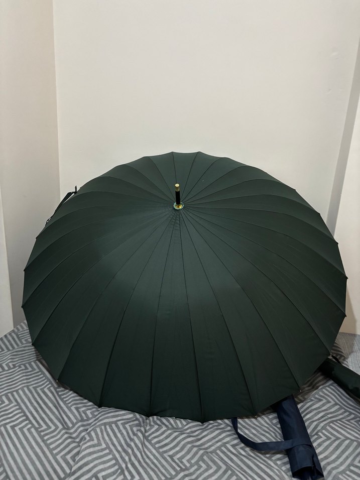 Klasik Zarif Yeşil Pilili Şemsiye
24 Telli Geniş - Görsel 2