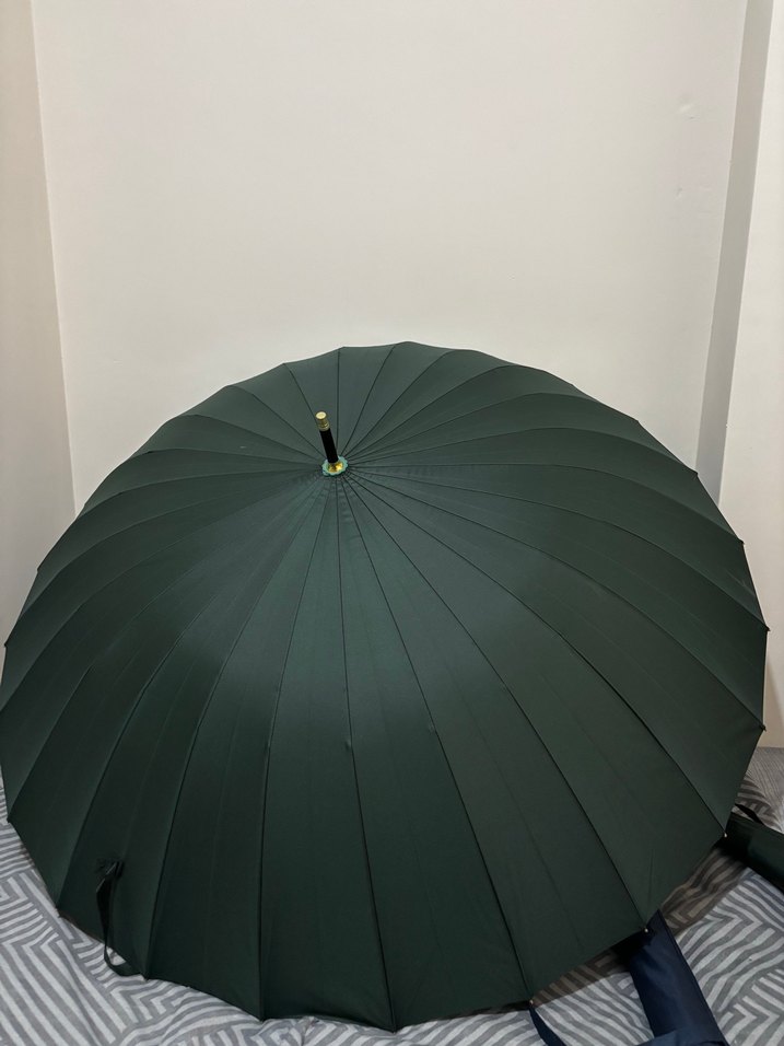 Klasik Zarif Yeşil Pilili Şemsiye
24 Telli Geniş - Görsel 3