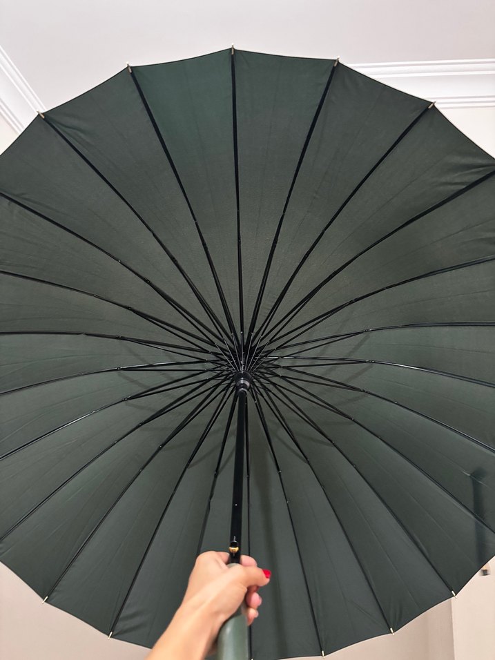 Klasik Zarif Yeşil Pilili Şemsiye
24 Telli Geniş - Görsel 4