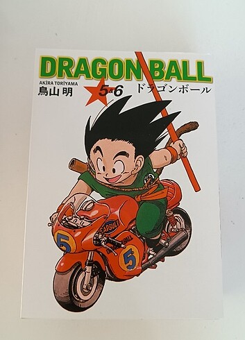 Beden Renk MANGA