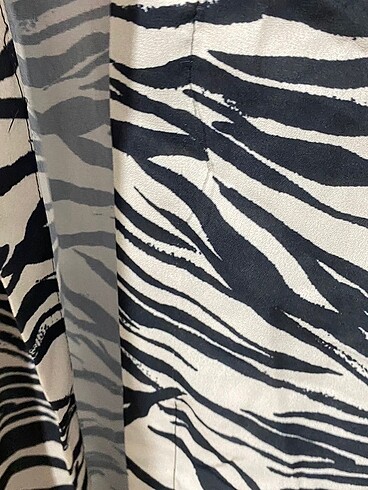 Diğer zebra gömlek